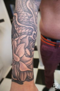Lotus