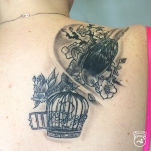 Dolphin Cover Up