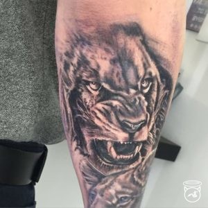 Lion Tattoo