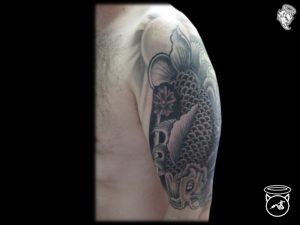 koi