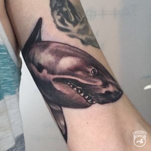 Great White
