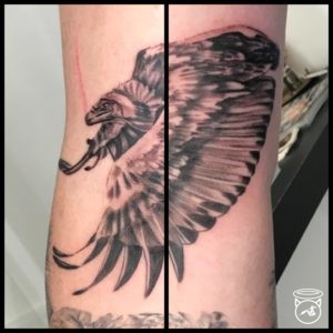Vulture Tattoo