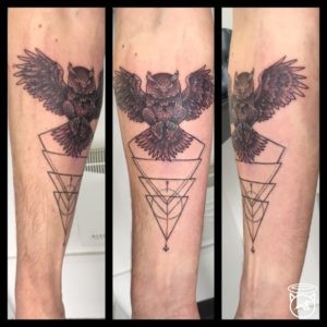 owl