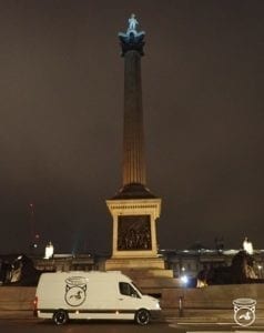 Nelson Column london